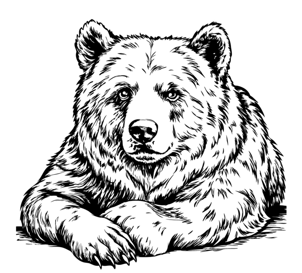 Bear 2