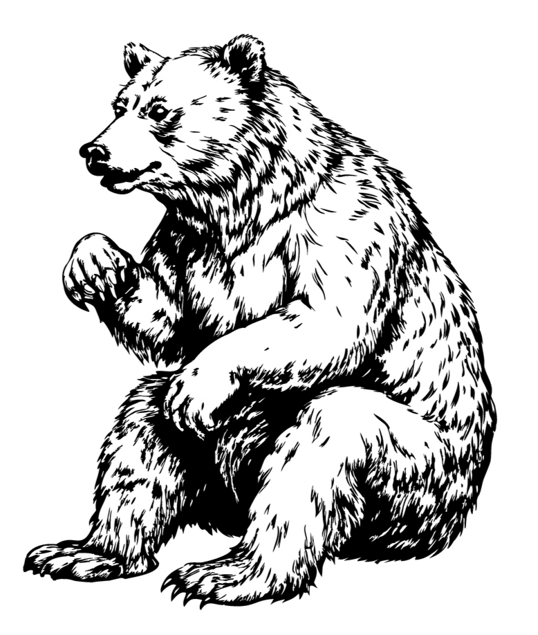 Bear 3