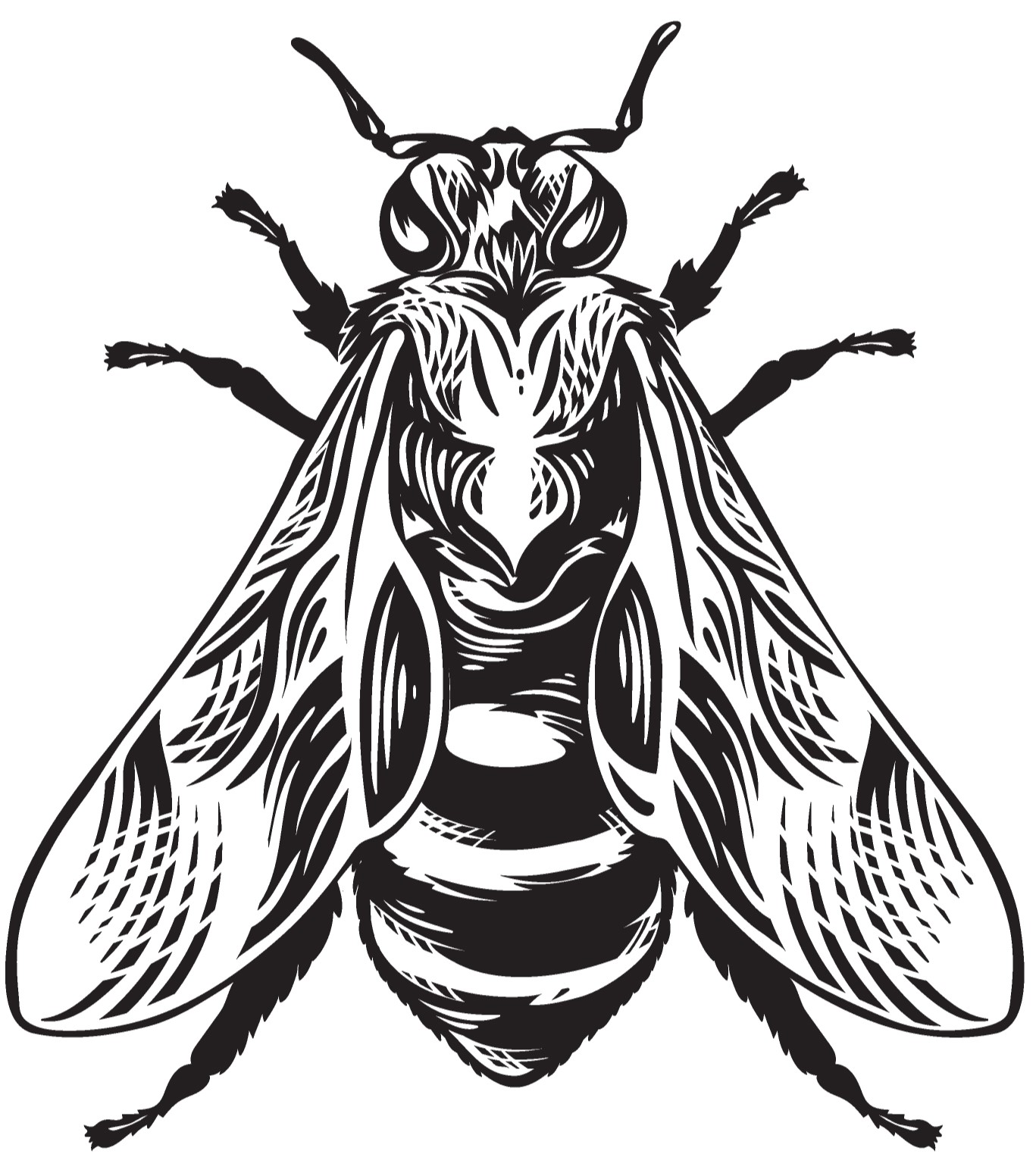 Insects & Bugs