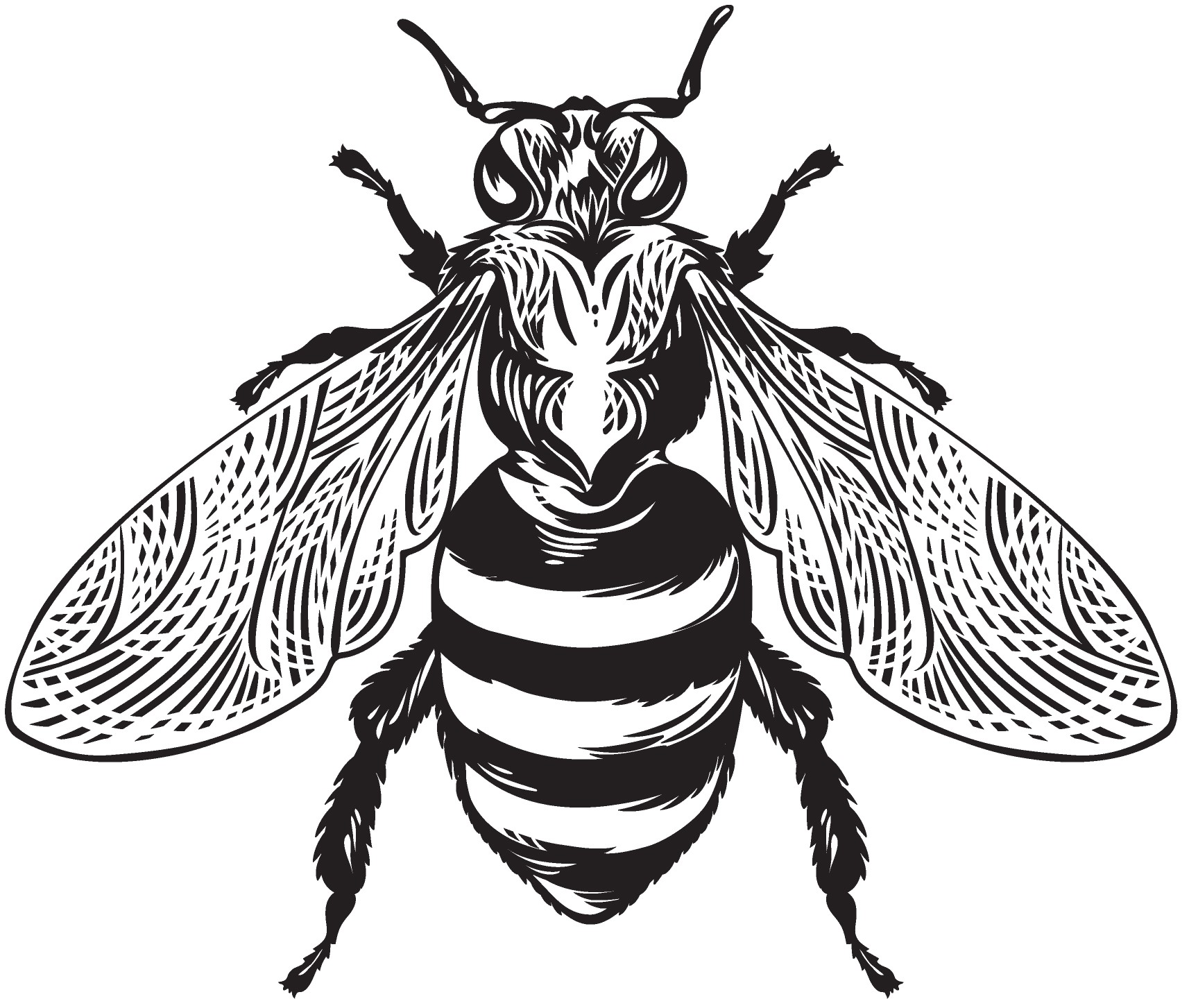 Bee 2