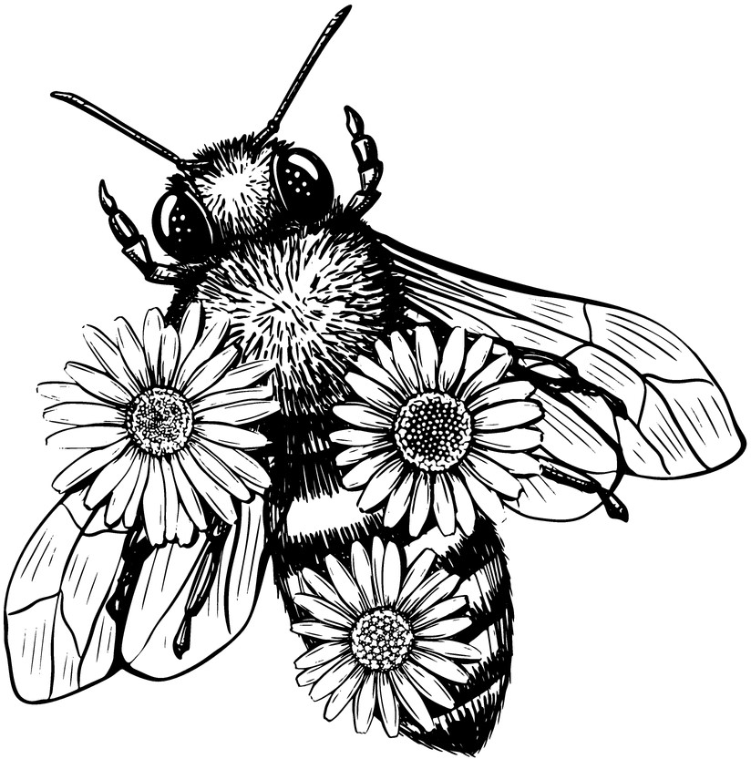 Bee 3