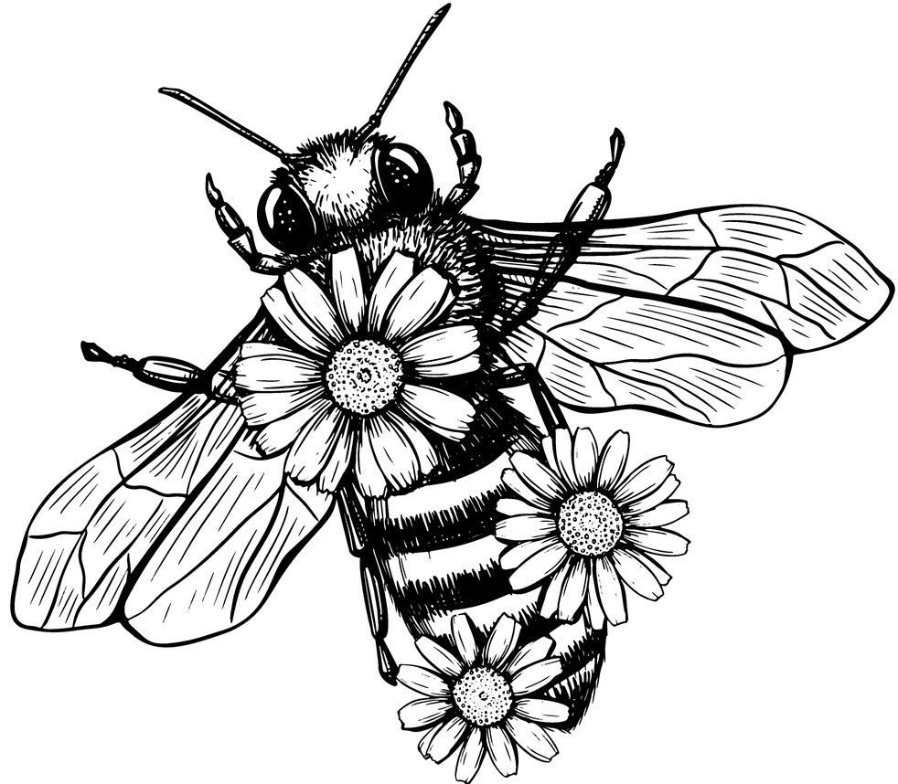 Bee 4
