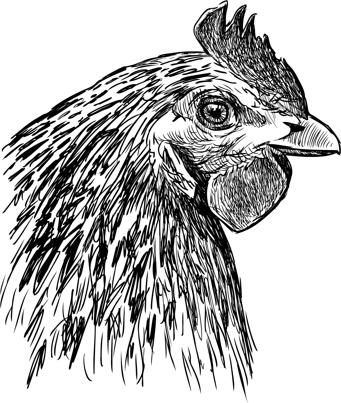 Chicken 3