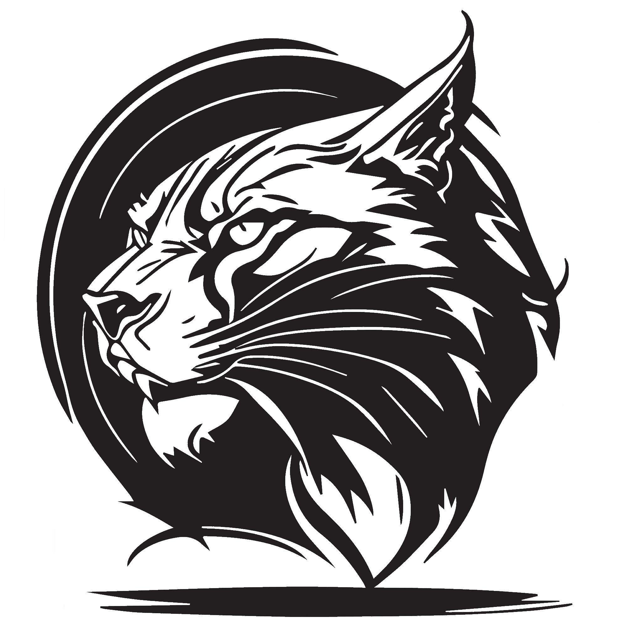 Cougar 2