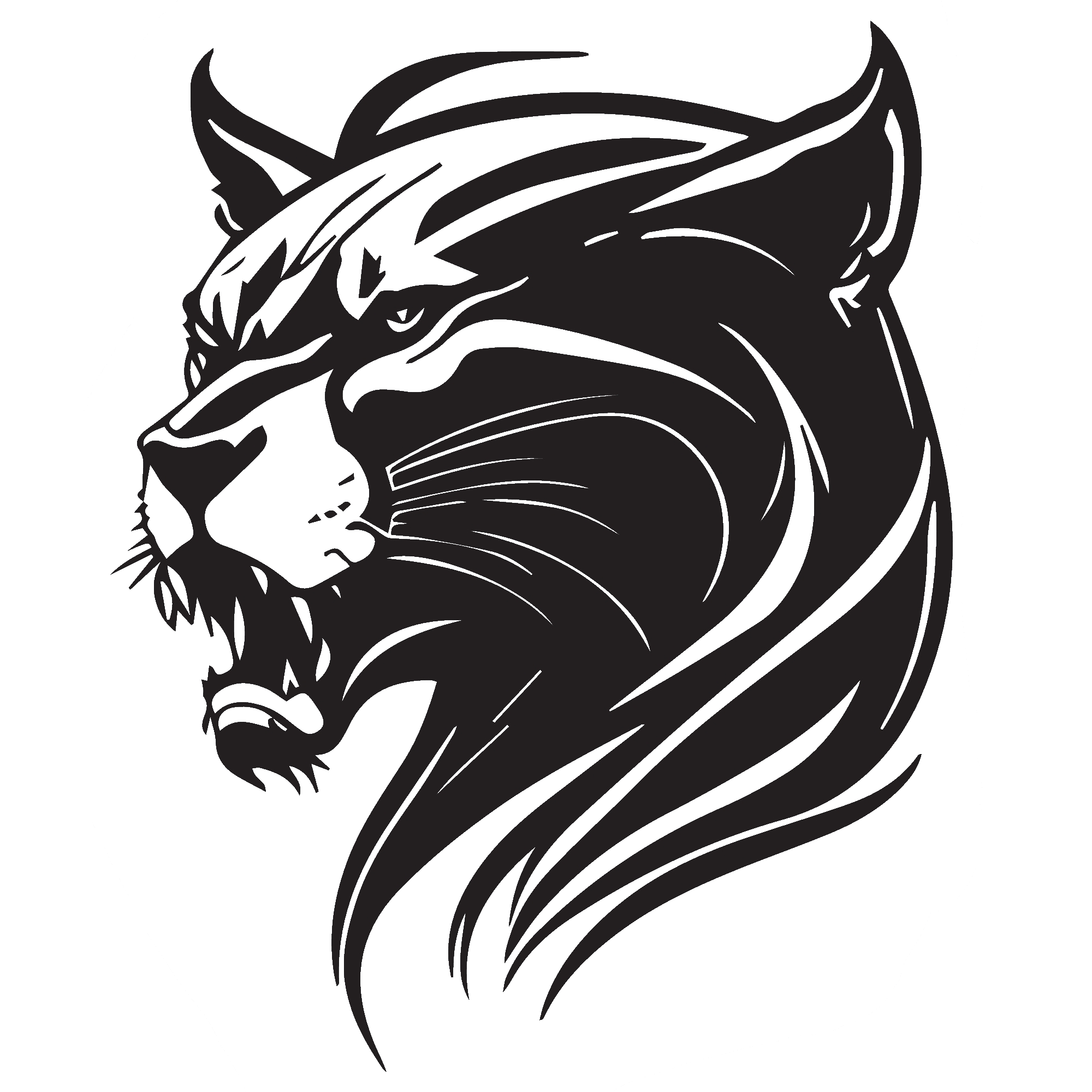 Cougar 4