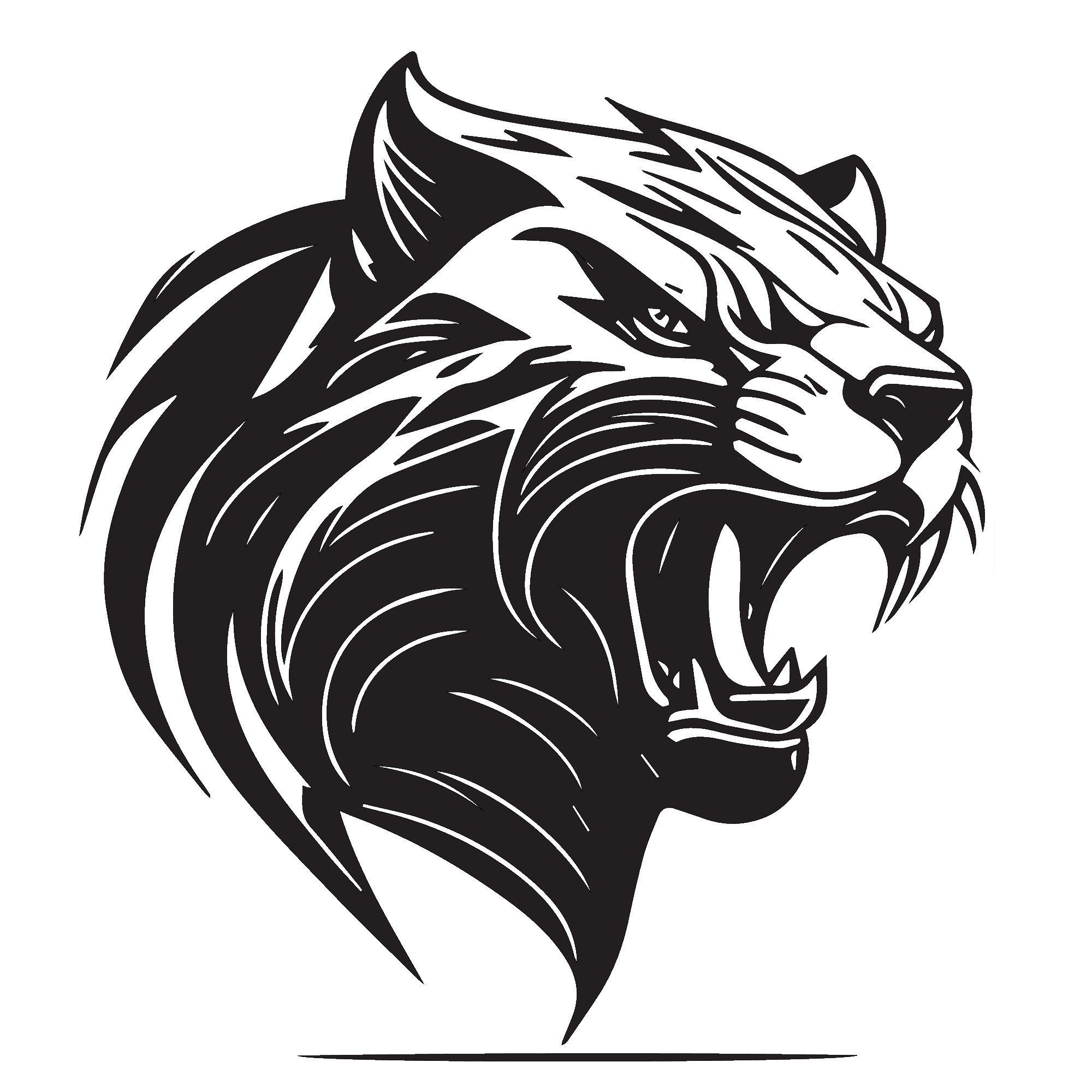 Cougar 6