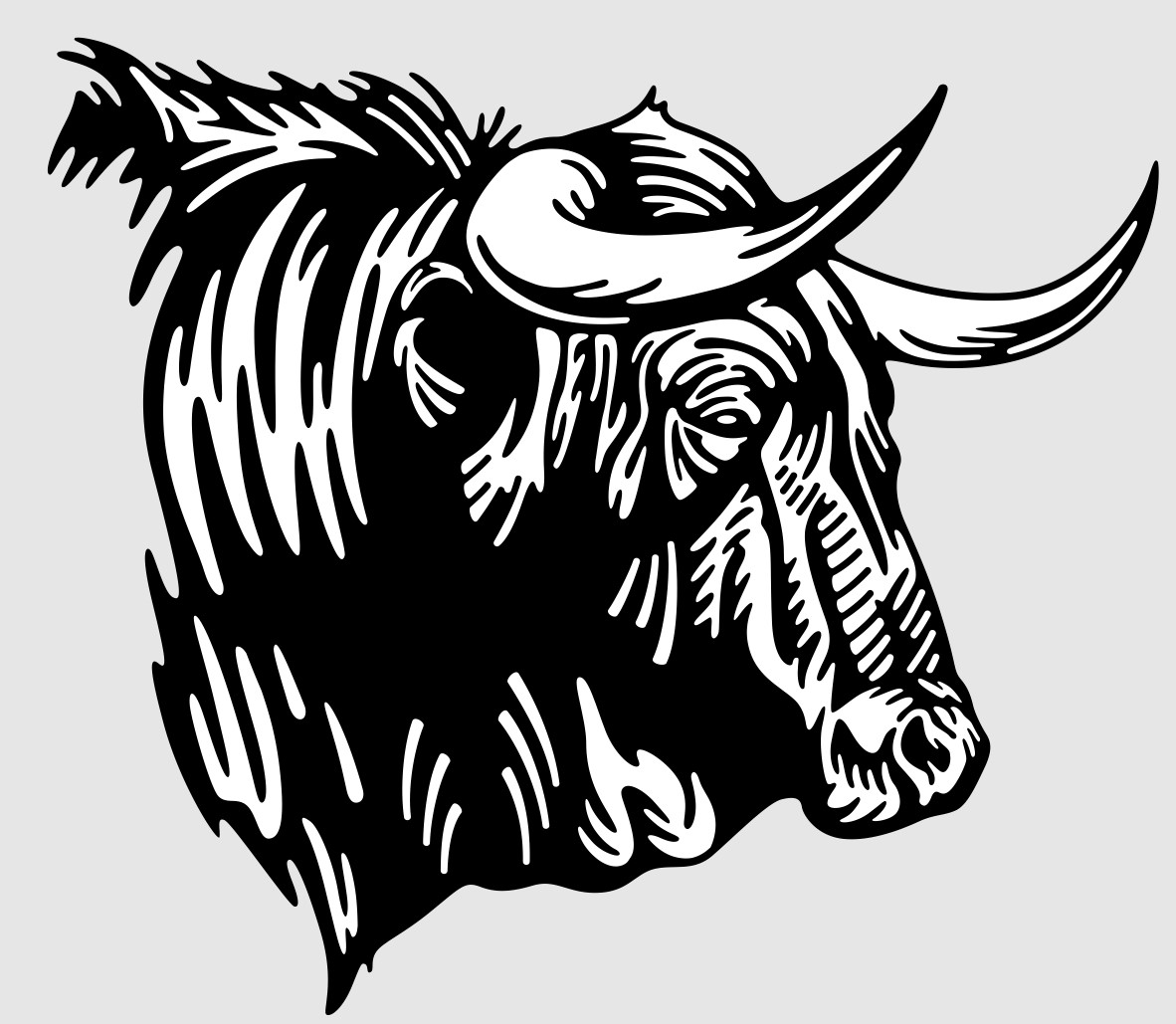 Cow 4
