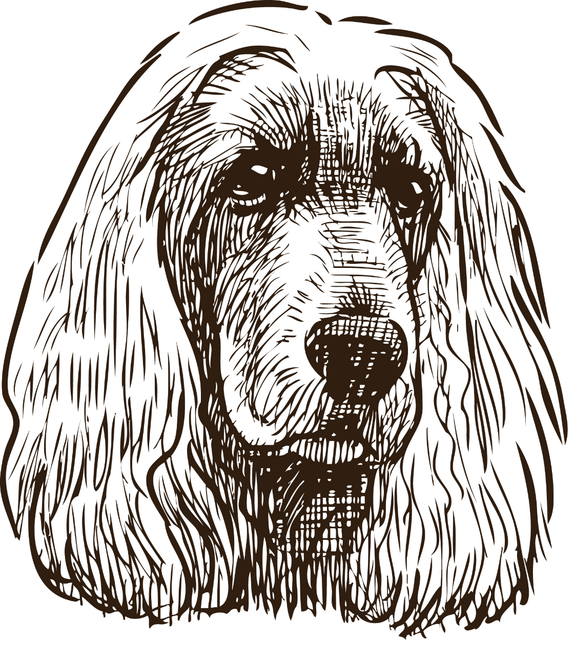 Dog 1