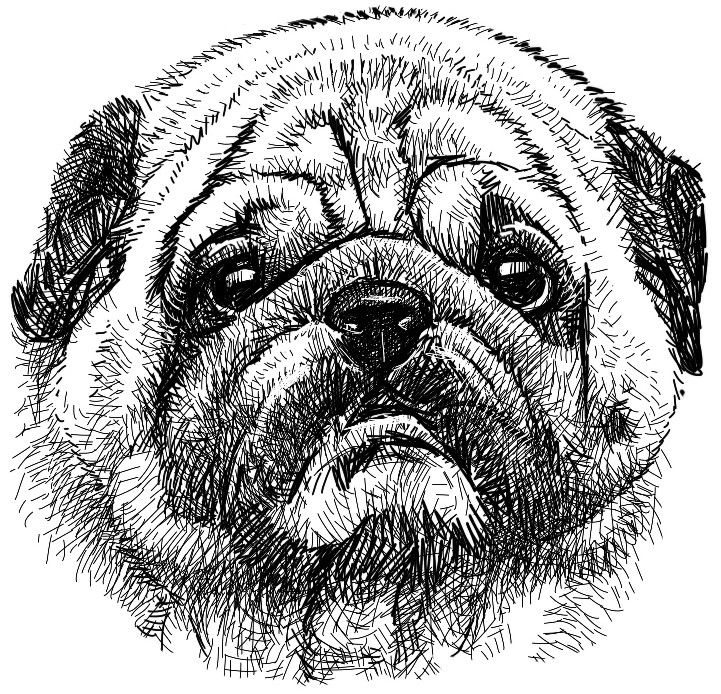 Dog 9