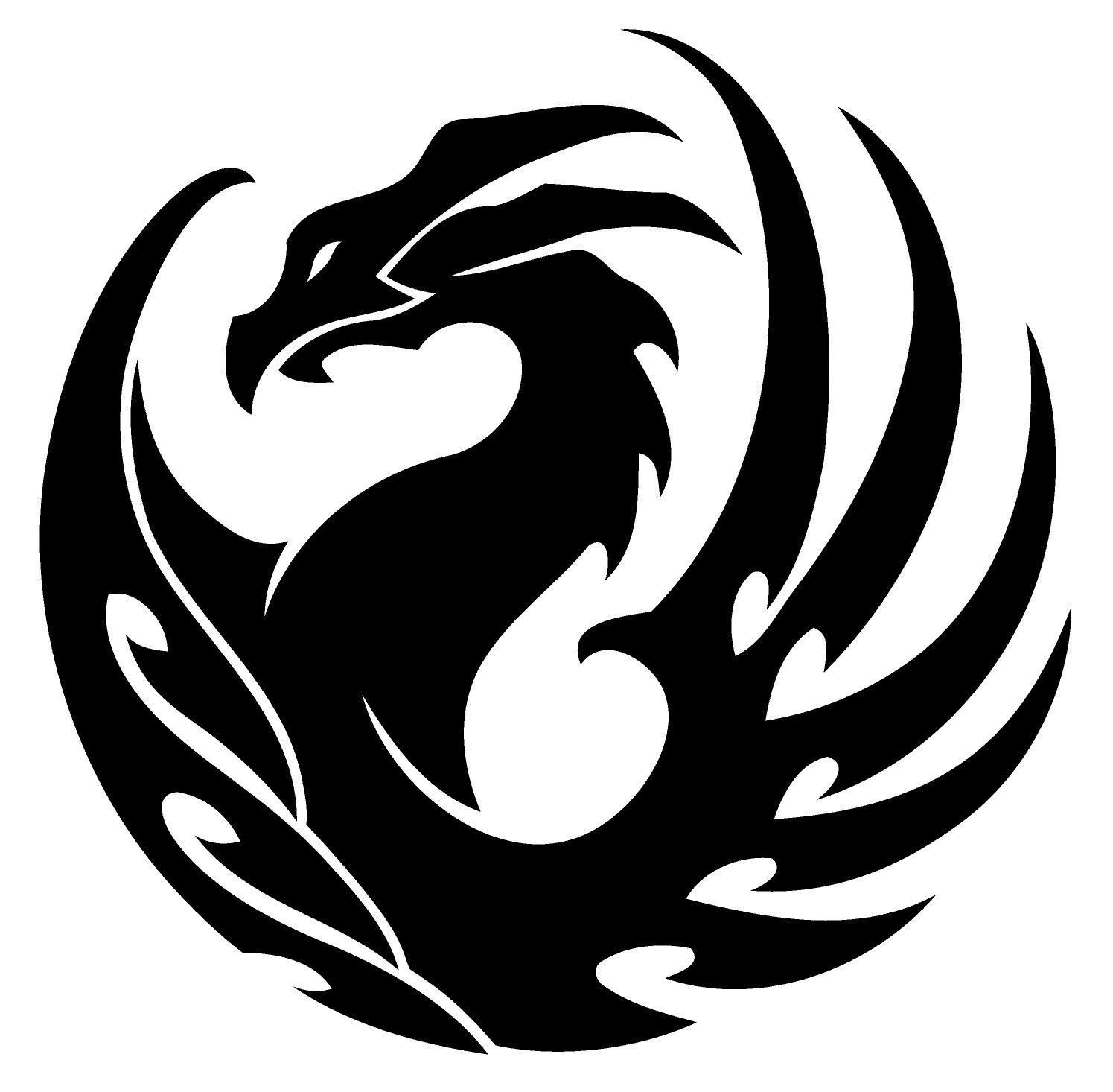 Dragon 10