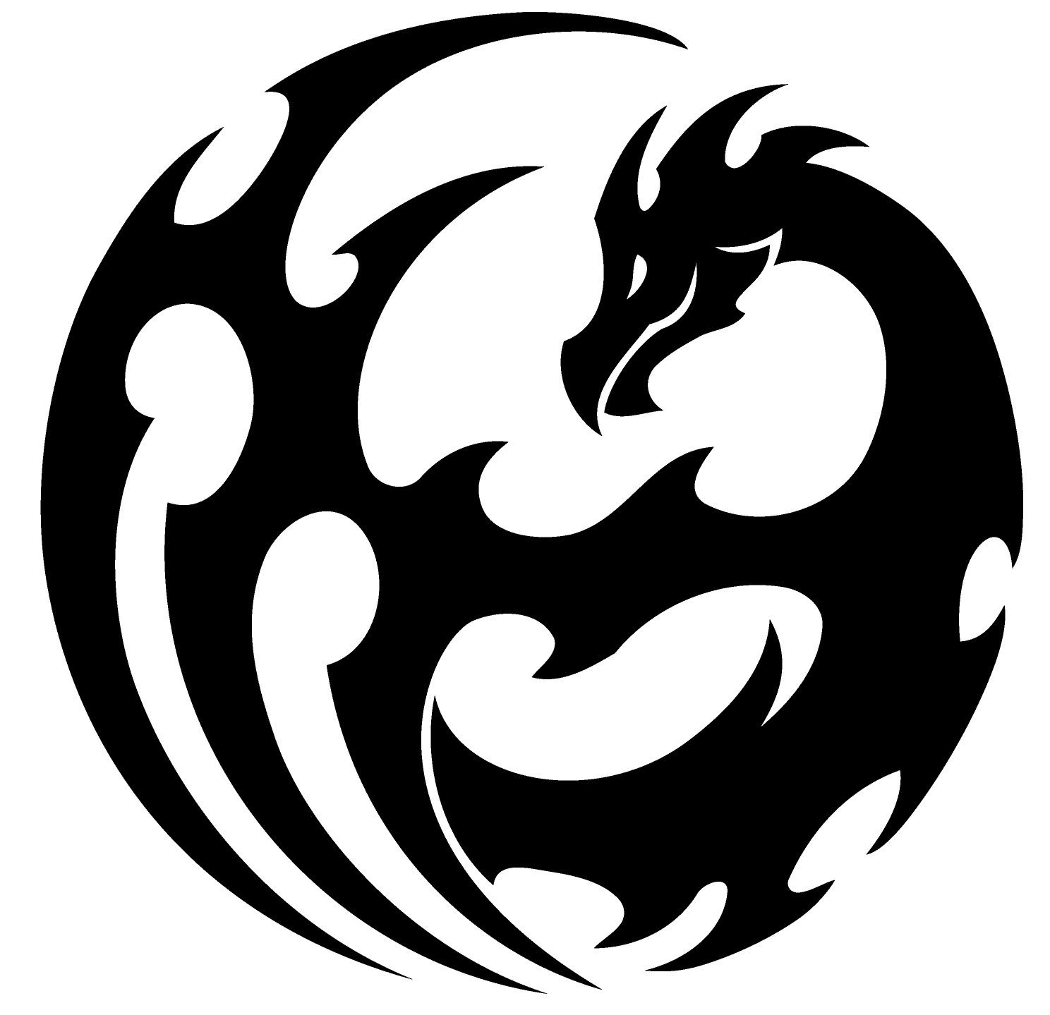 Dragon 12