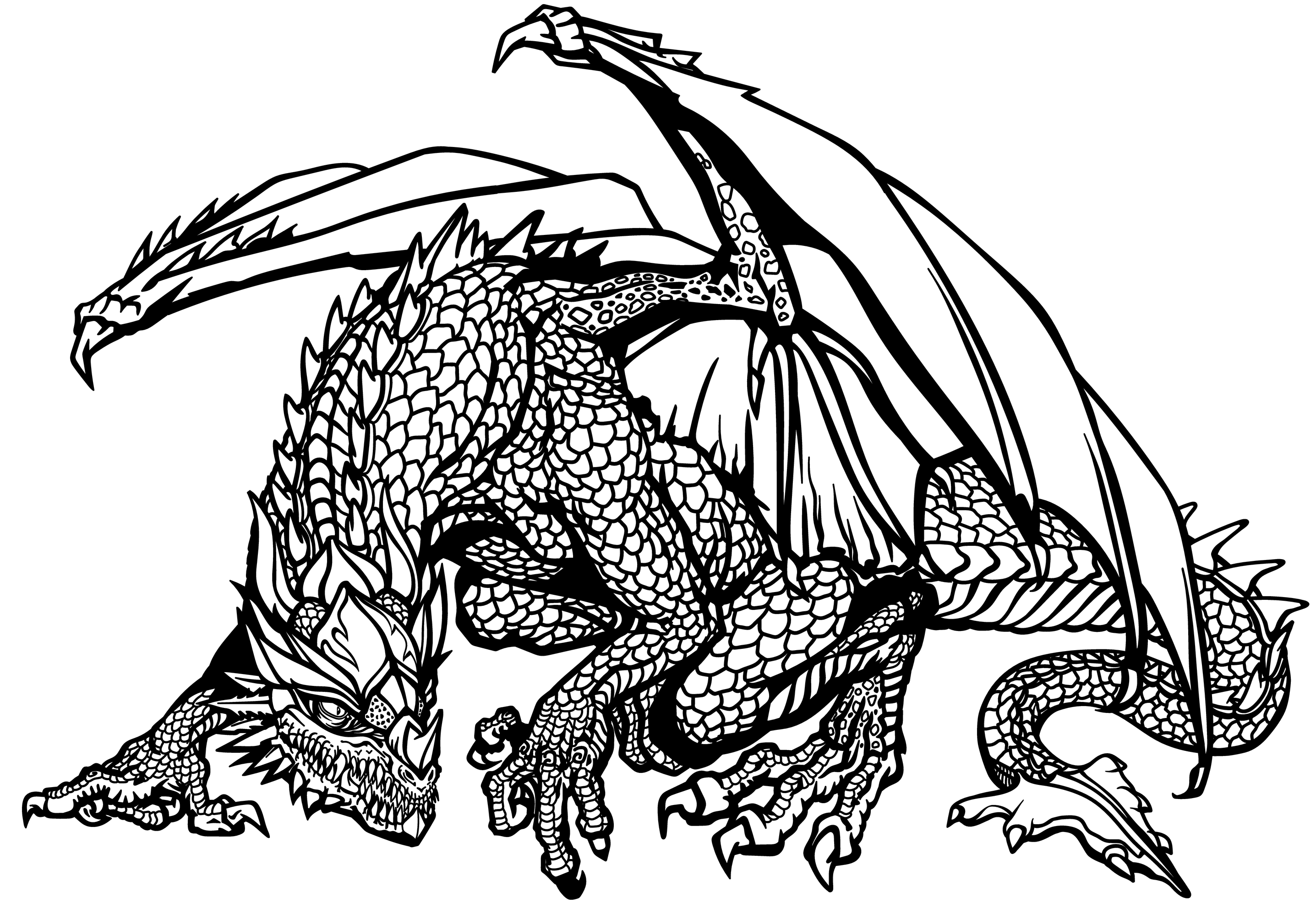 Dragon 6