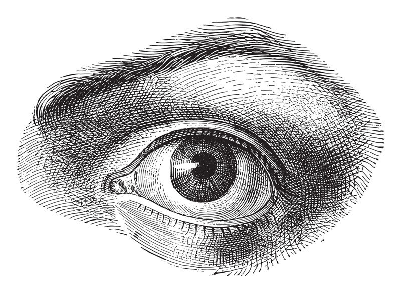 Eye 1
