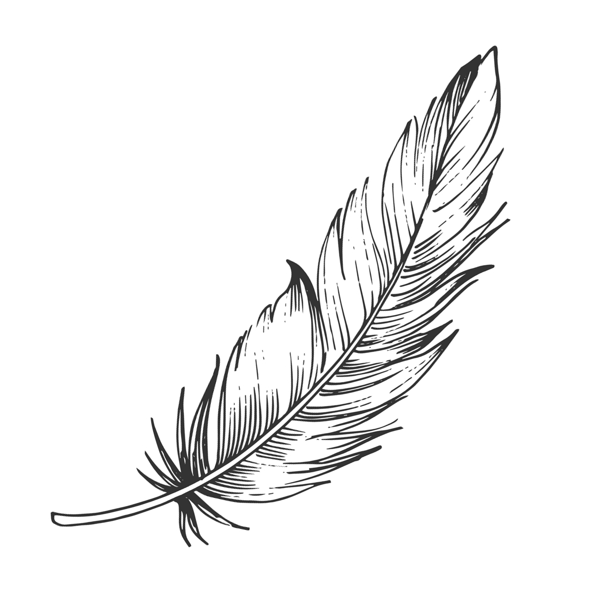 Feather 2