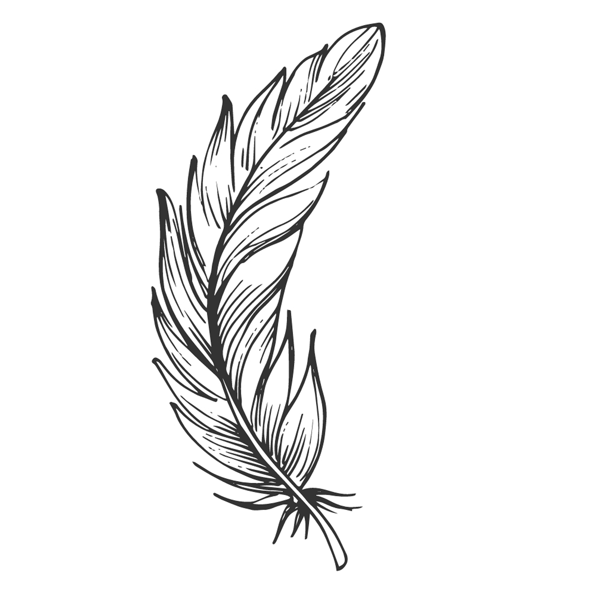 Feather 3