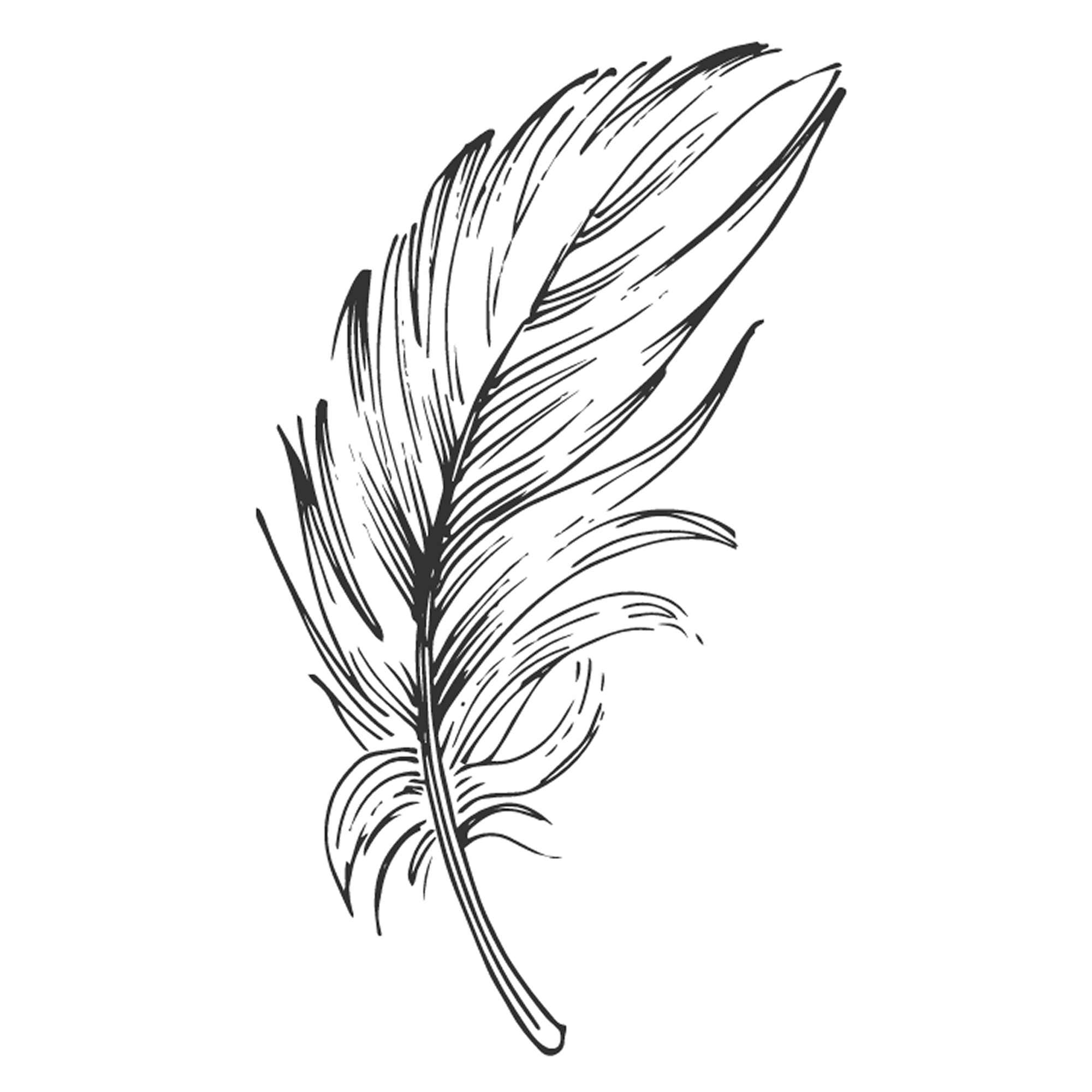 Feather 4