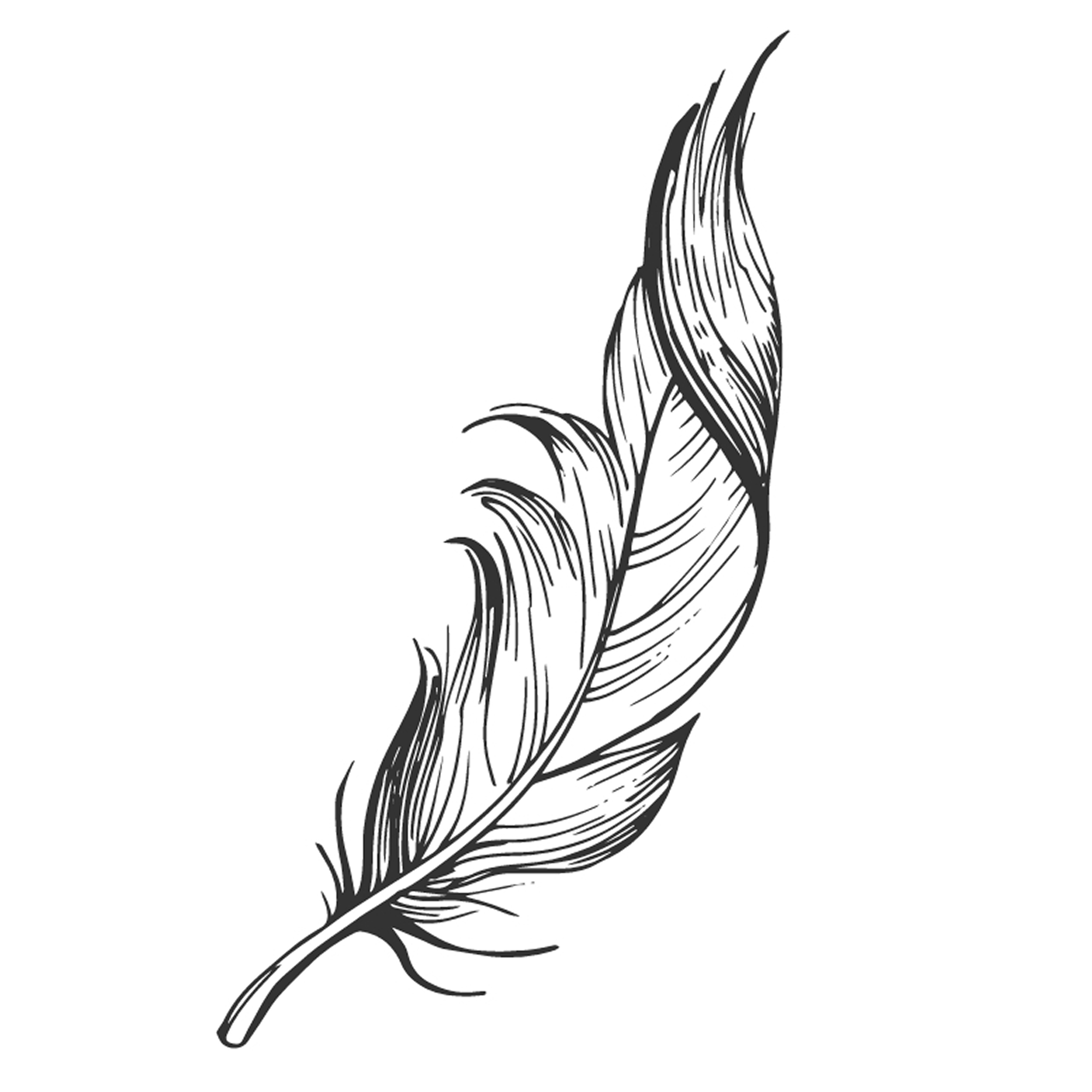 Feather 5