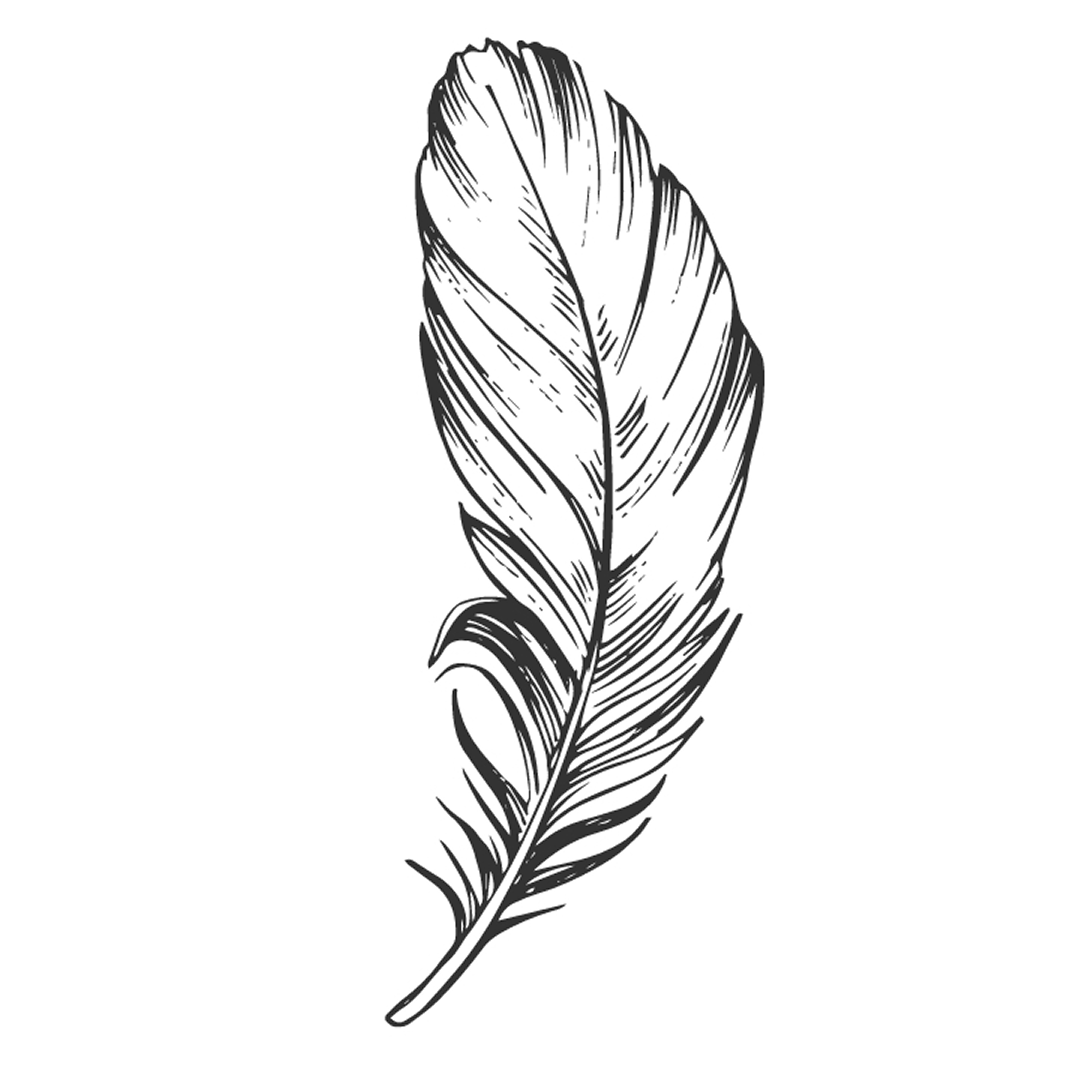 Feather 6