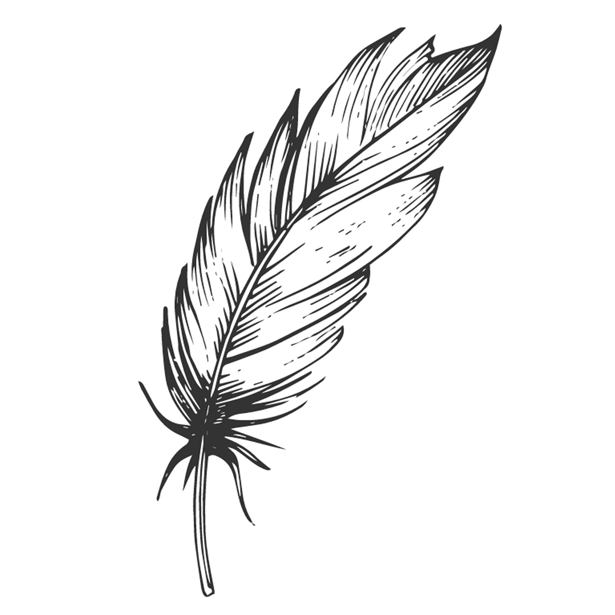 Feather 7