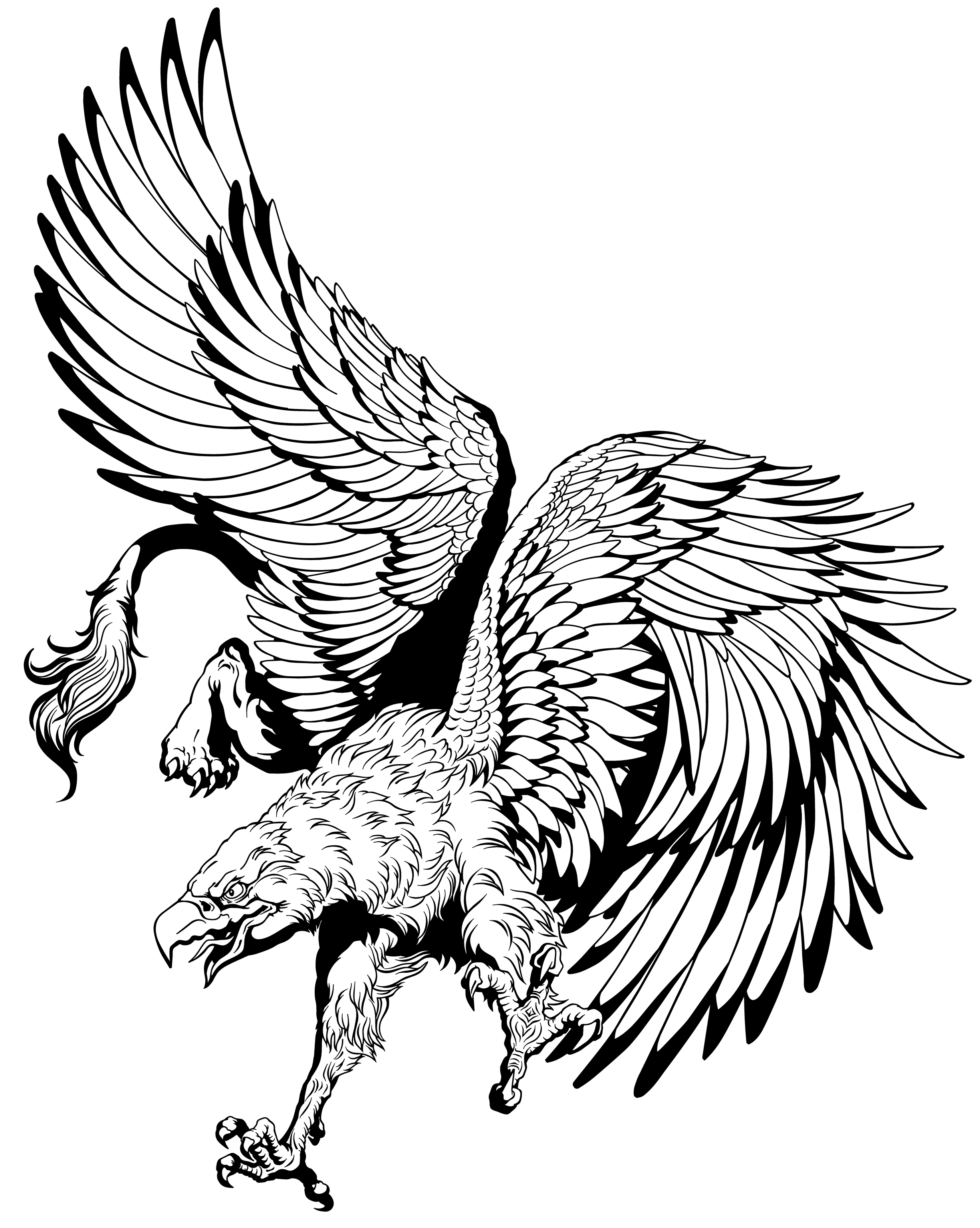 Griffon