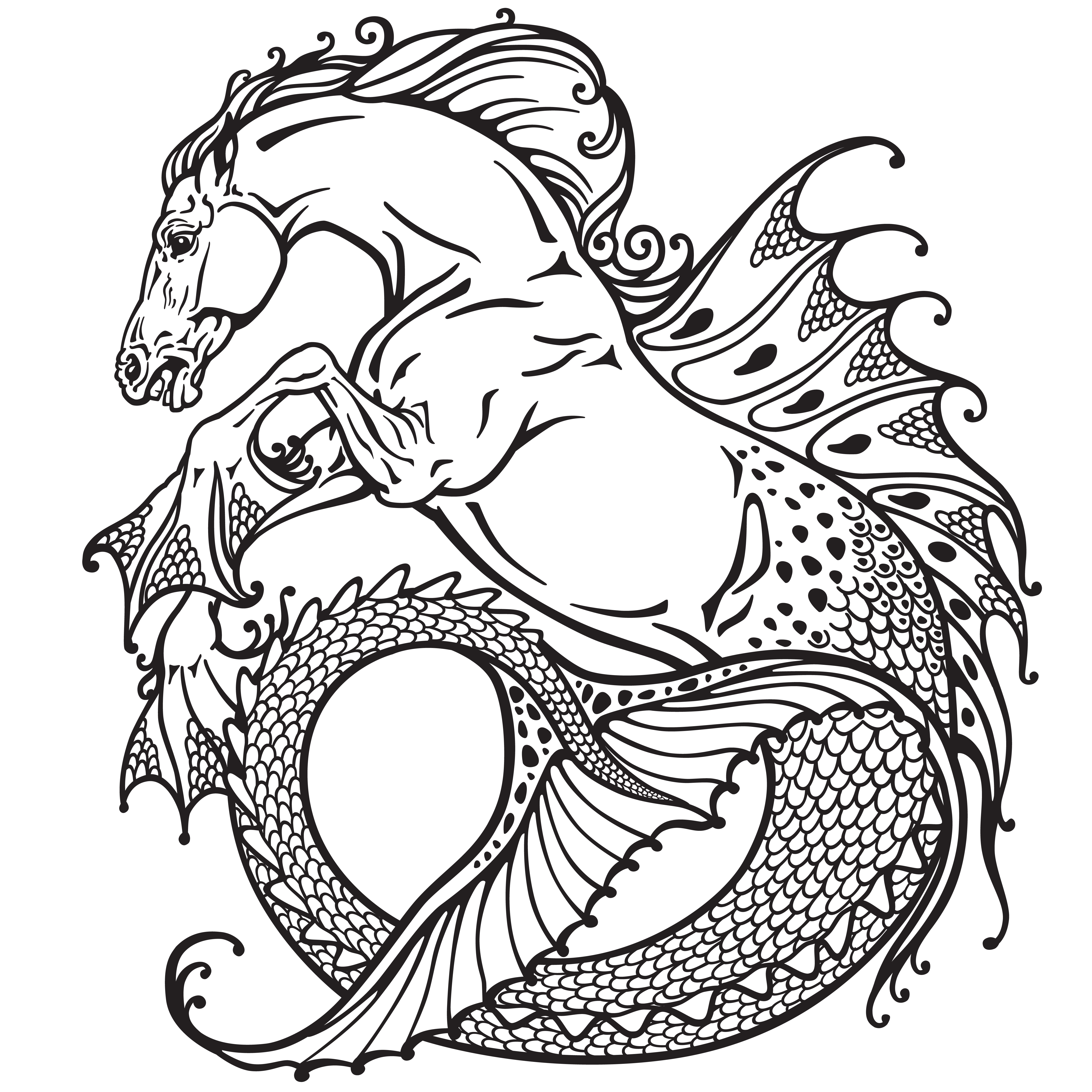 Hippocampus