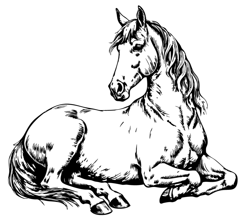 Horse 2