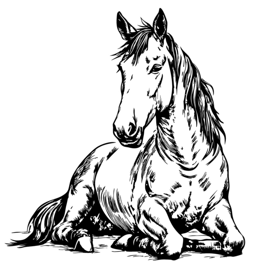 Horse 4