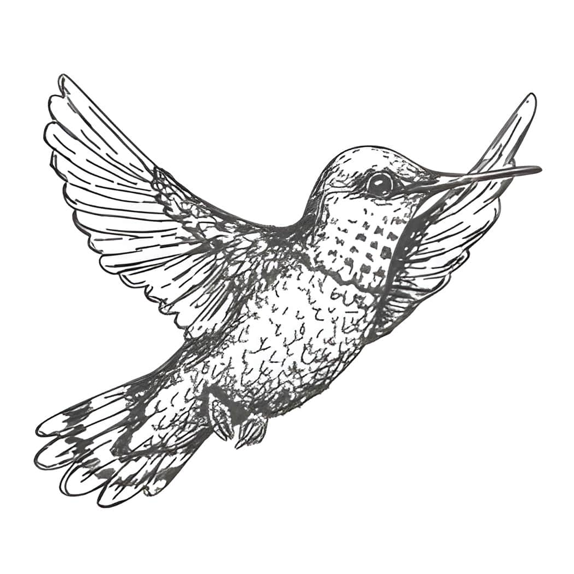 Hummingbird 1