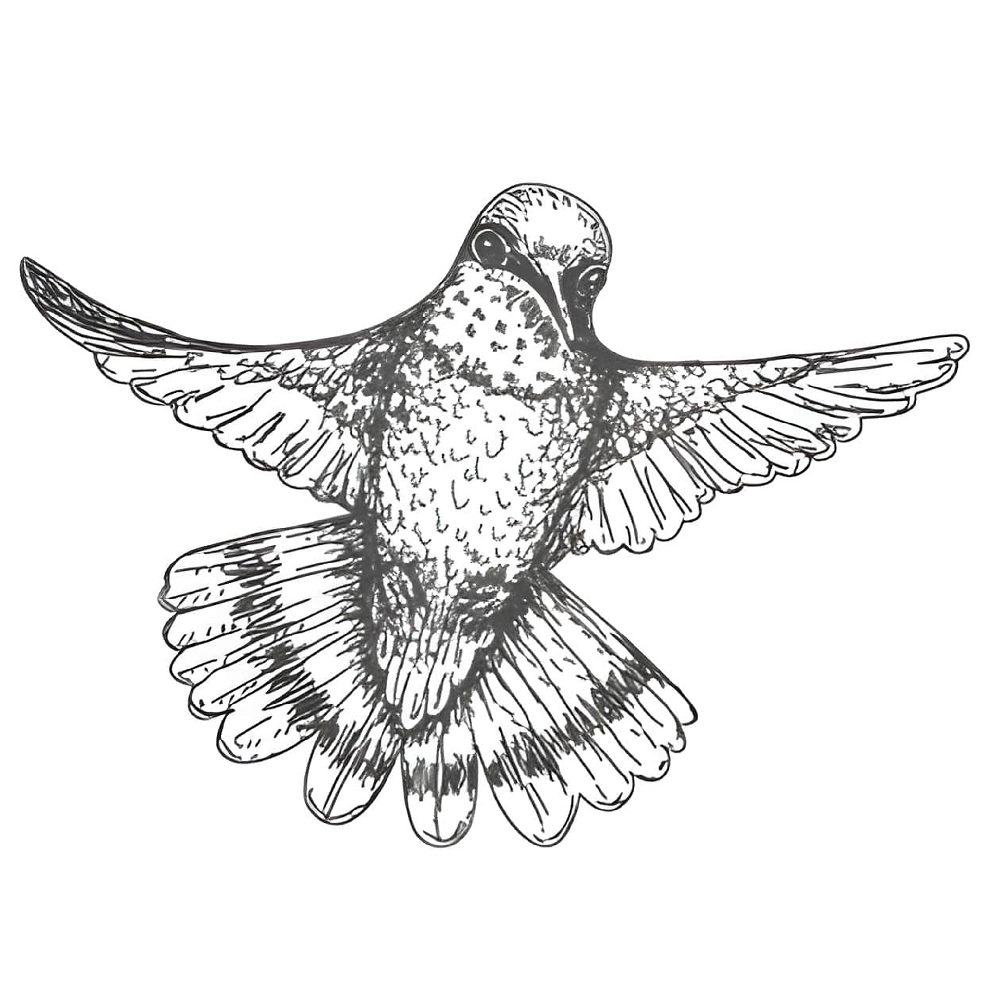 Hummingbird 3