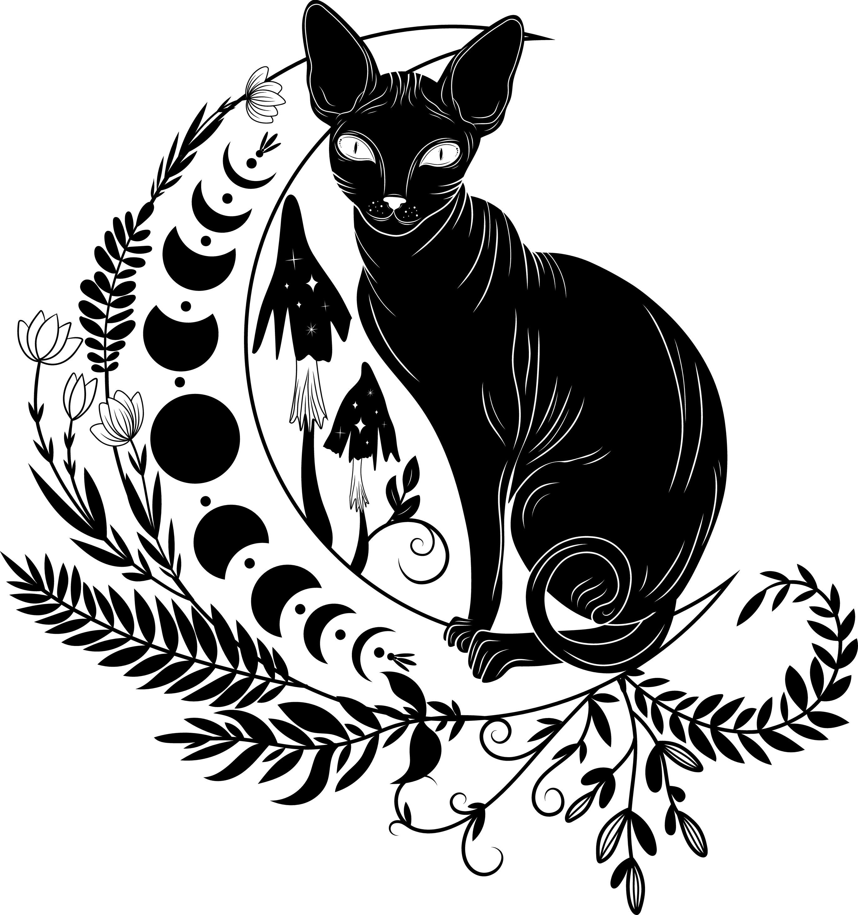 Lunar Cat 1