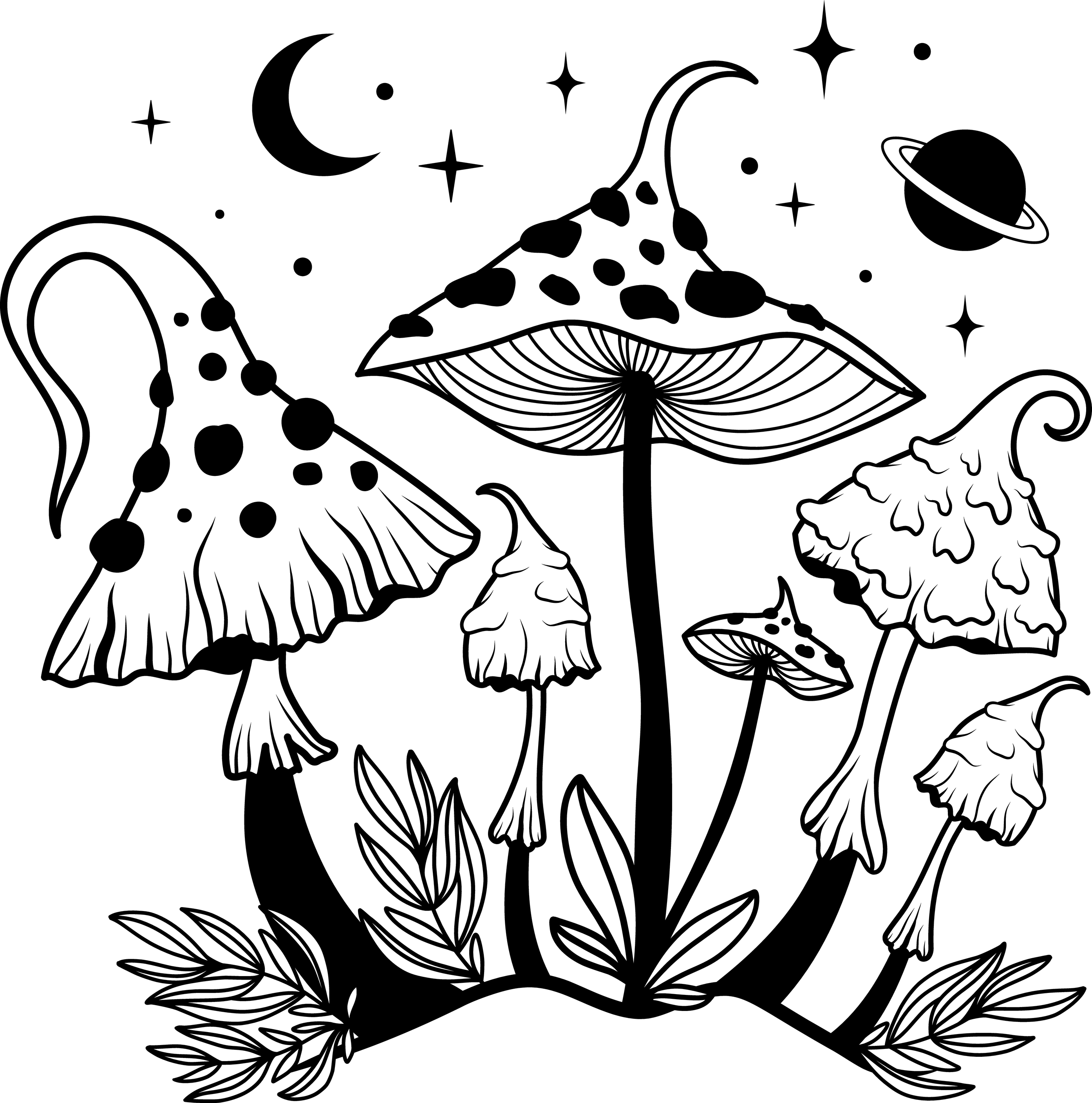 Mushroom 1