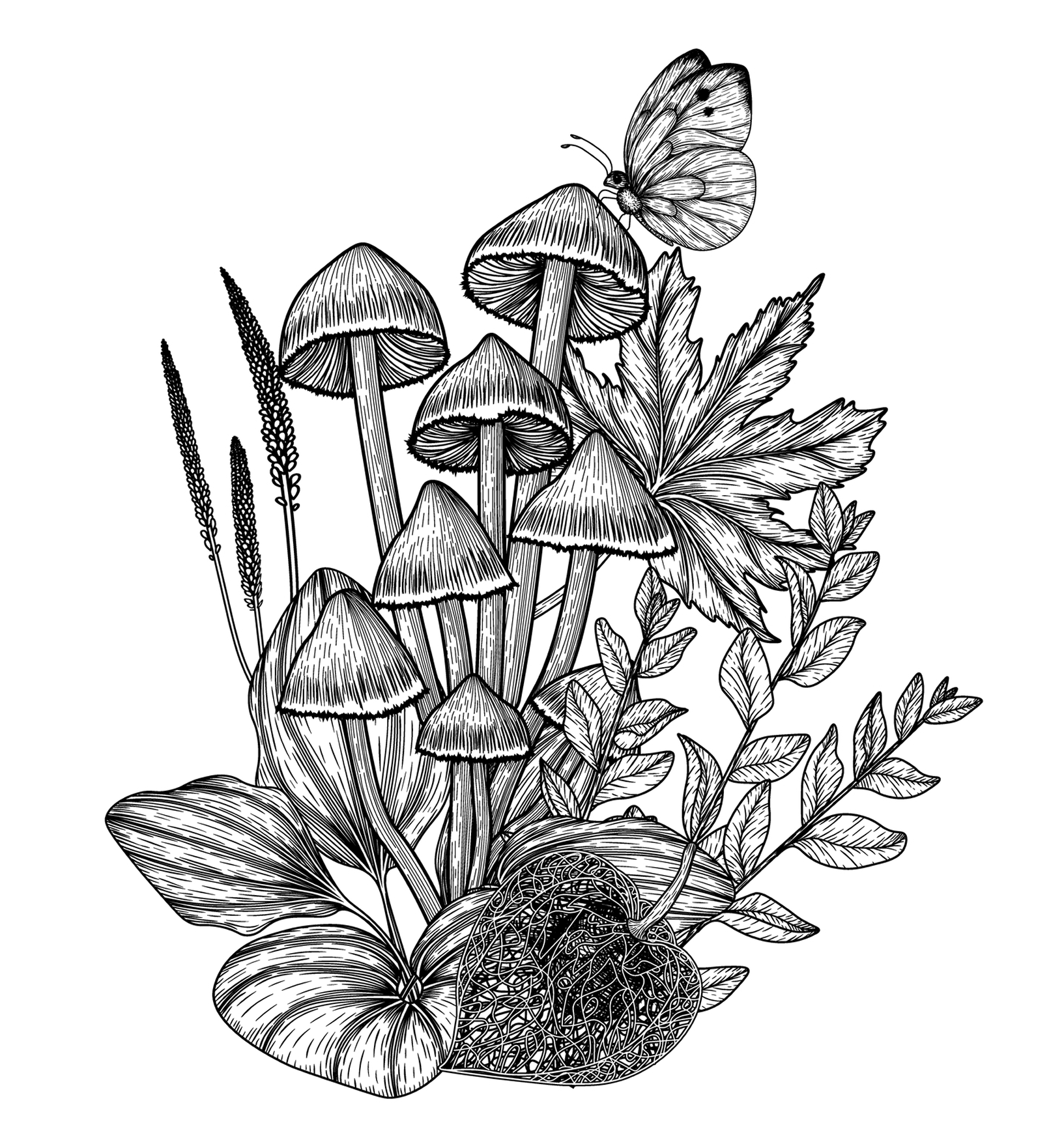 Mushroom 10