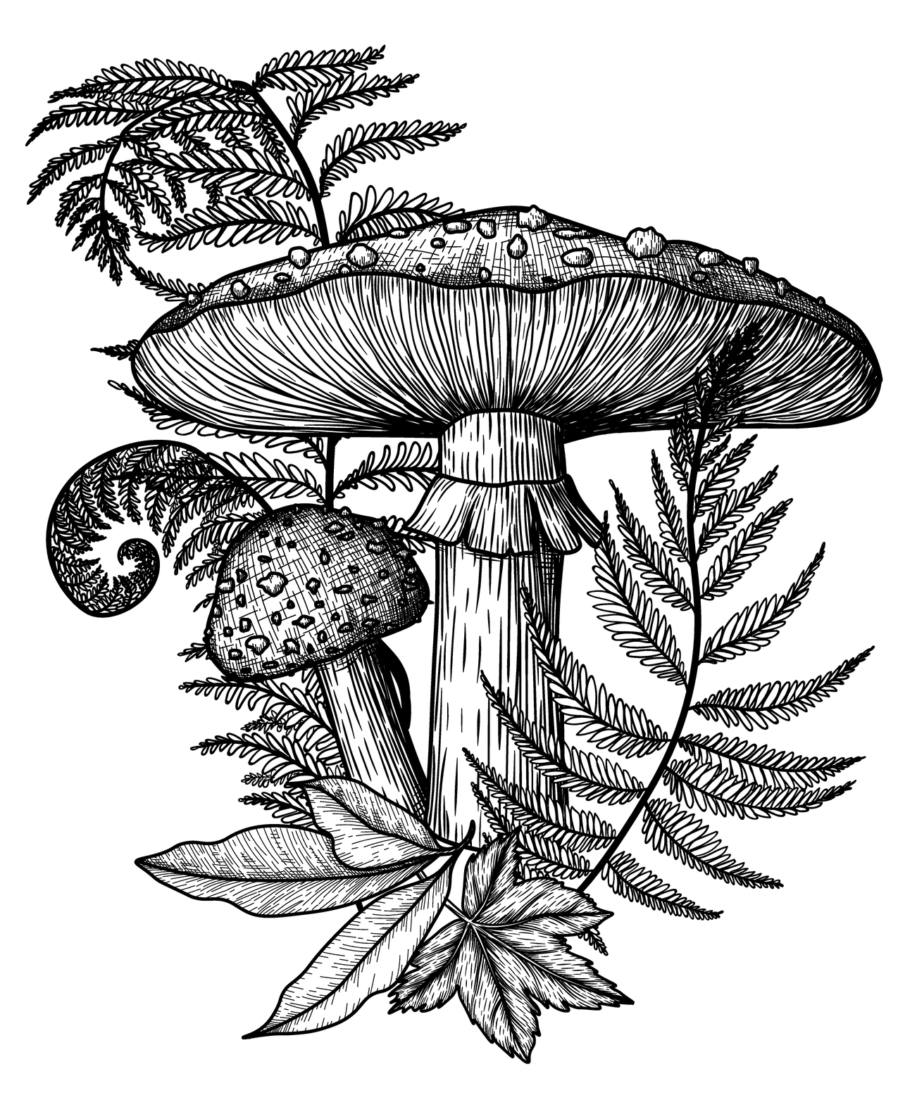 Mushroom 3