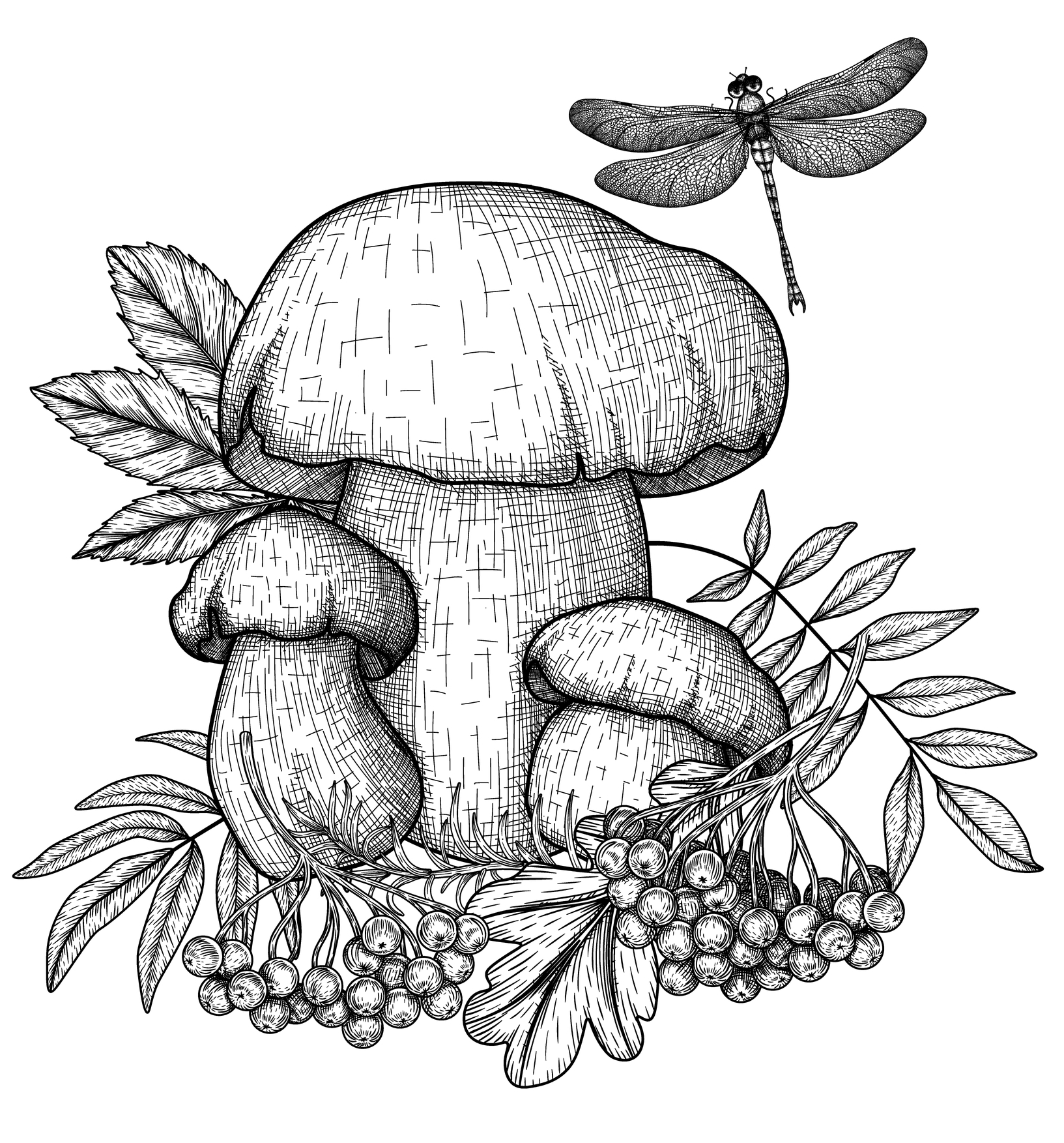 Mushroom 4