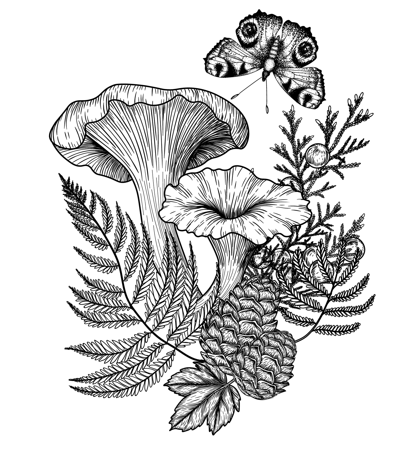 Mushroom 5