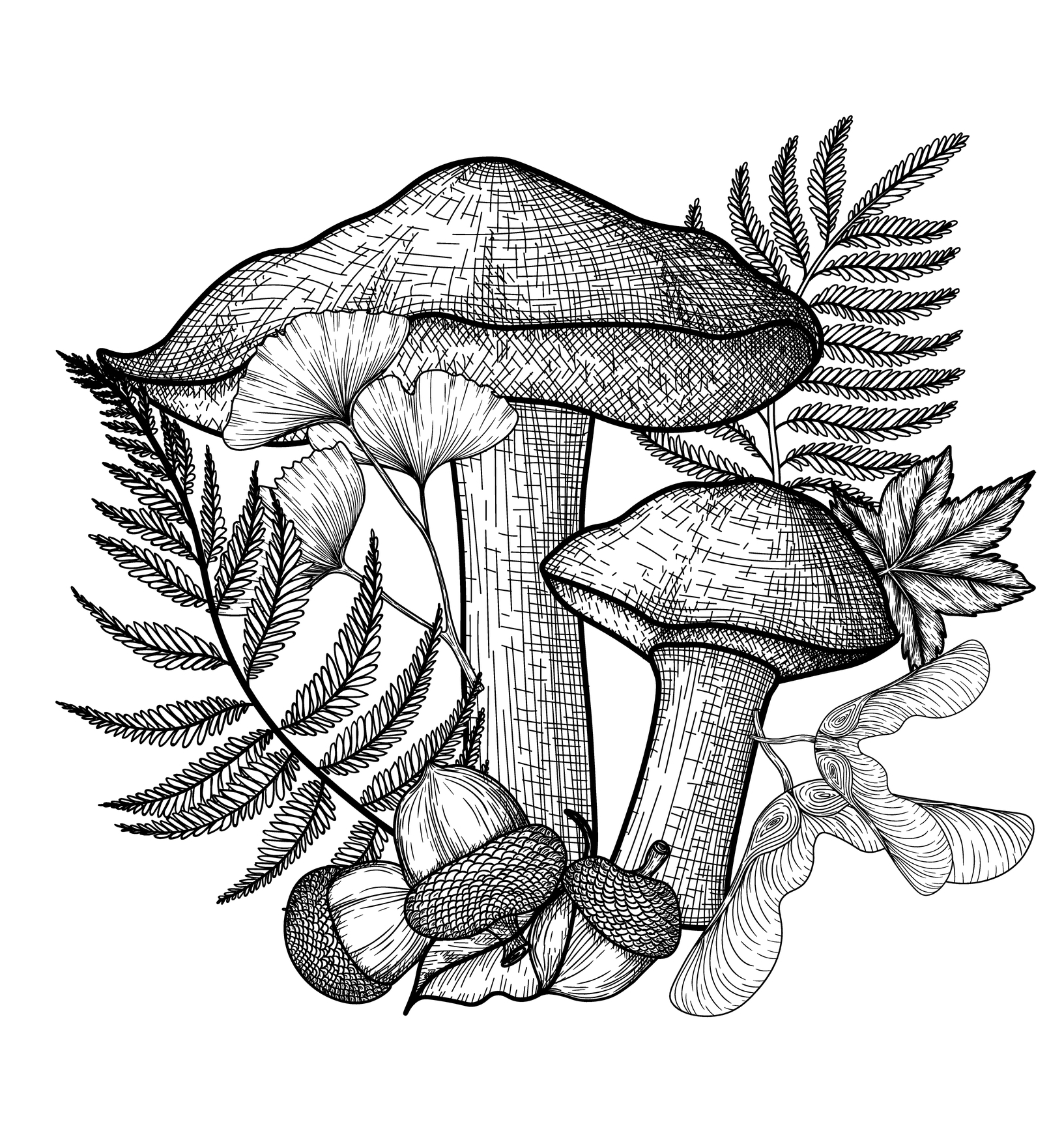 Mushroom 7