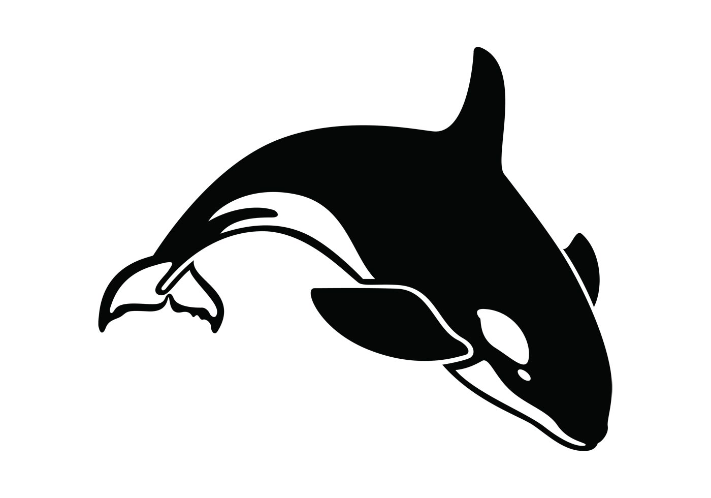 Orca 1