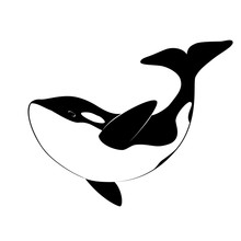 Orca 2