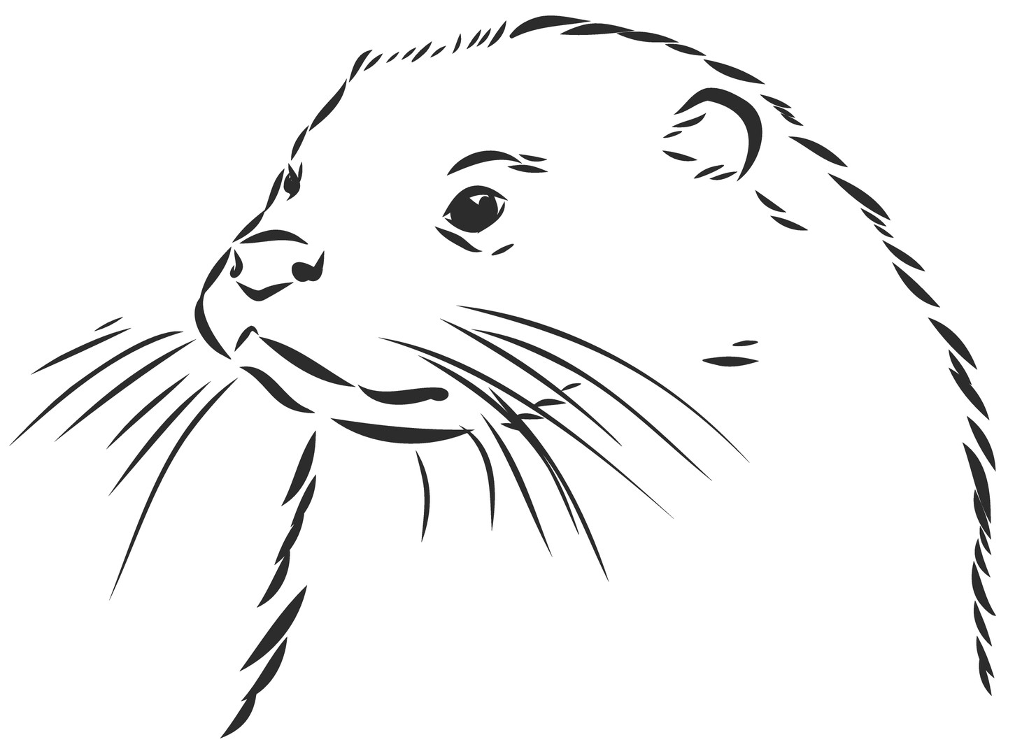 Otter 1