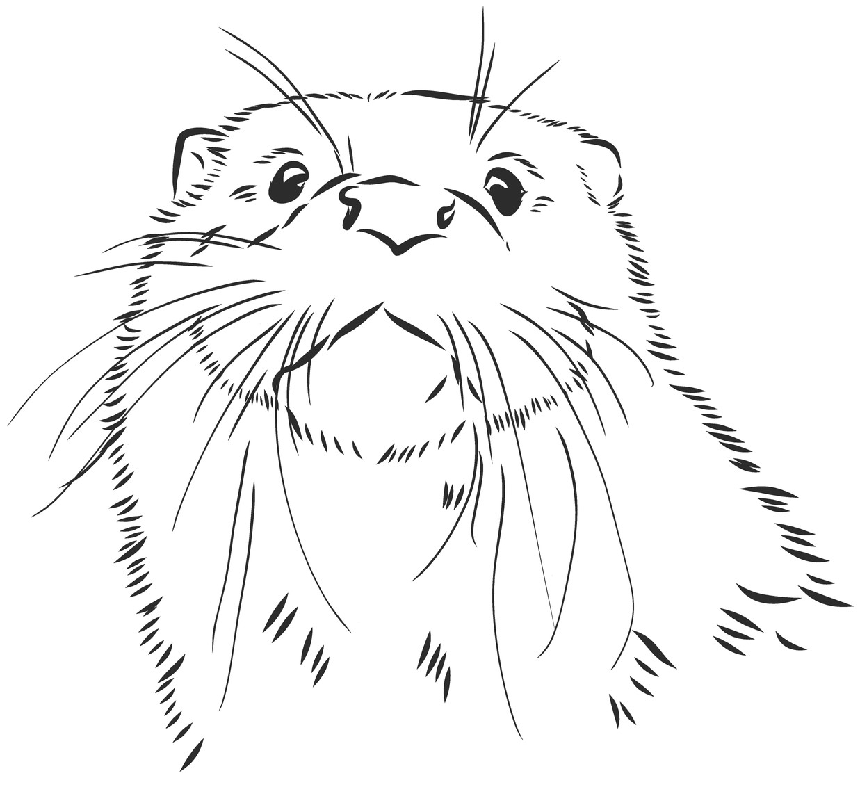 Otter 2