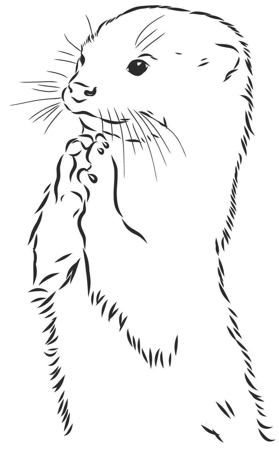 Otter 3