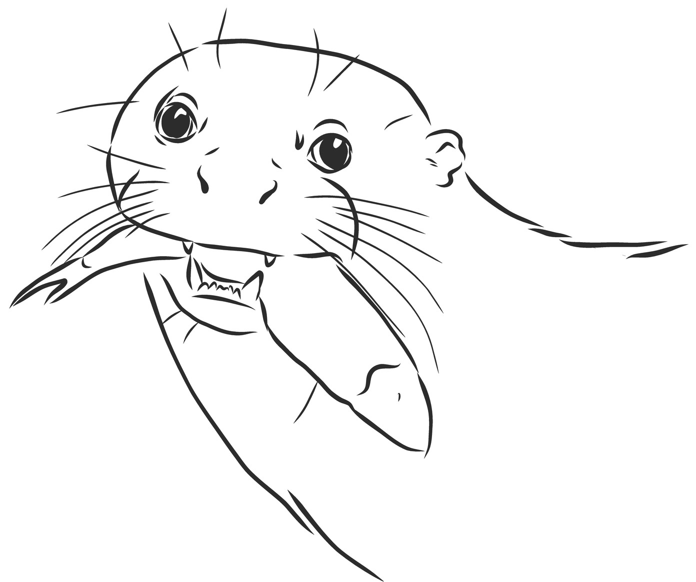 Otter 4
