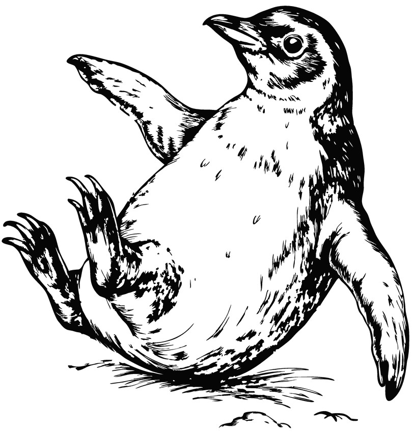 Penguin 1