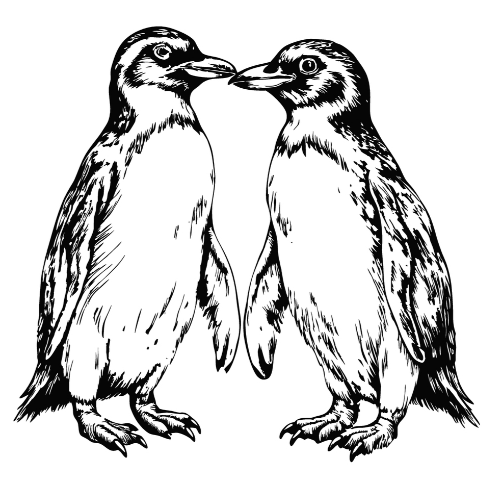Penguin 5