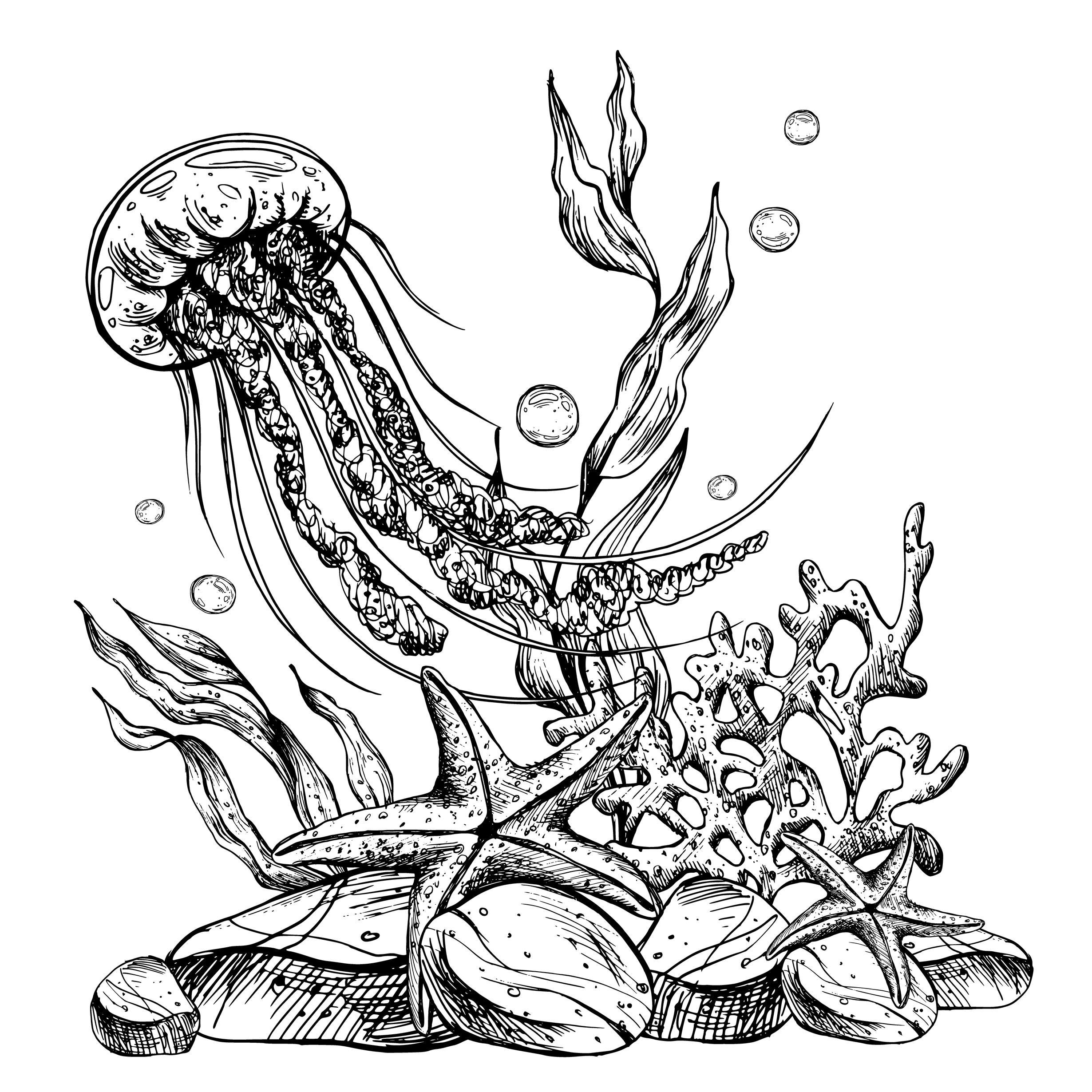 Sealife Jellyfish
