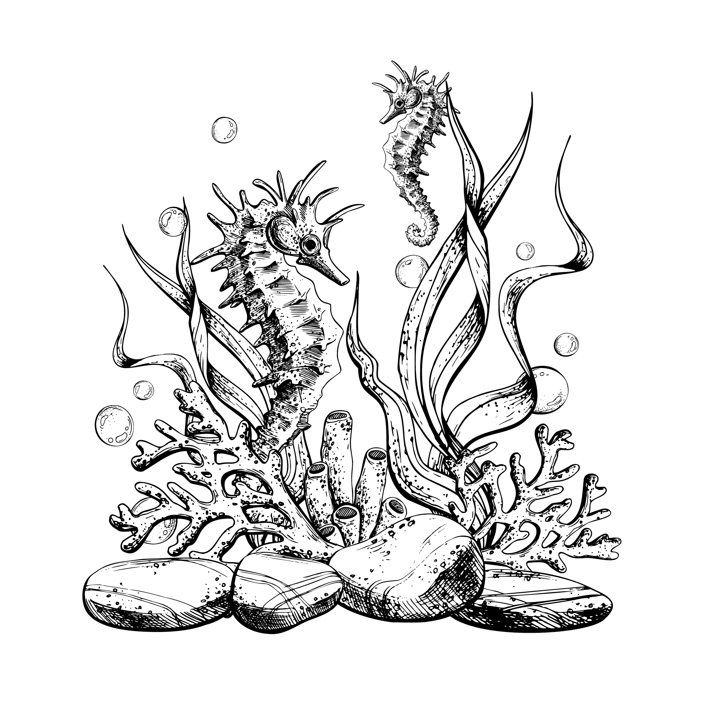 Sealife Seahorse