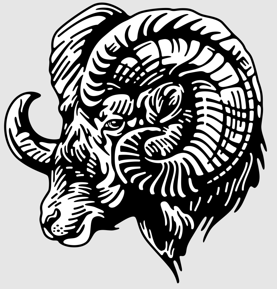 Sheep 2