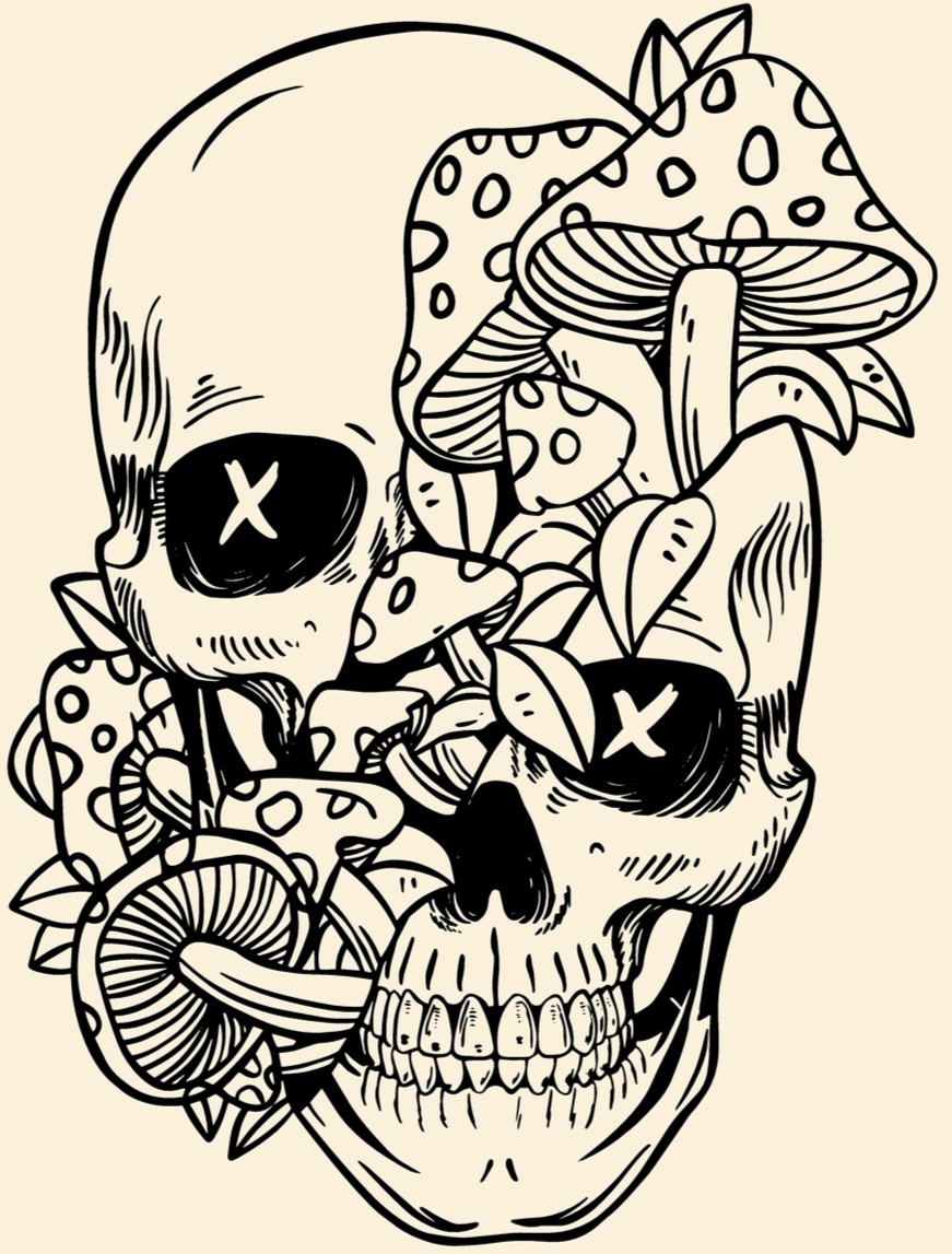 Skull 2