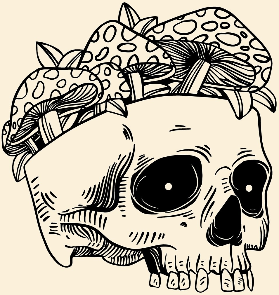 Skull 3