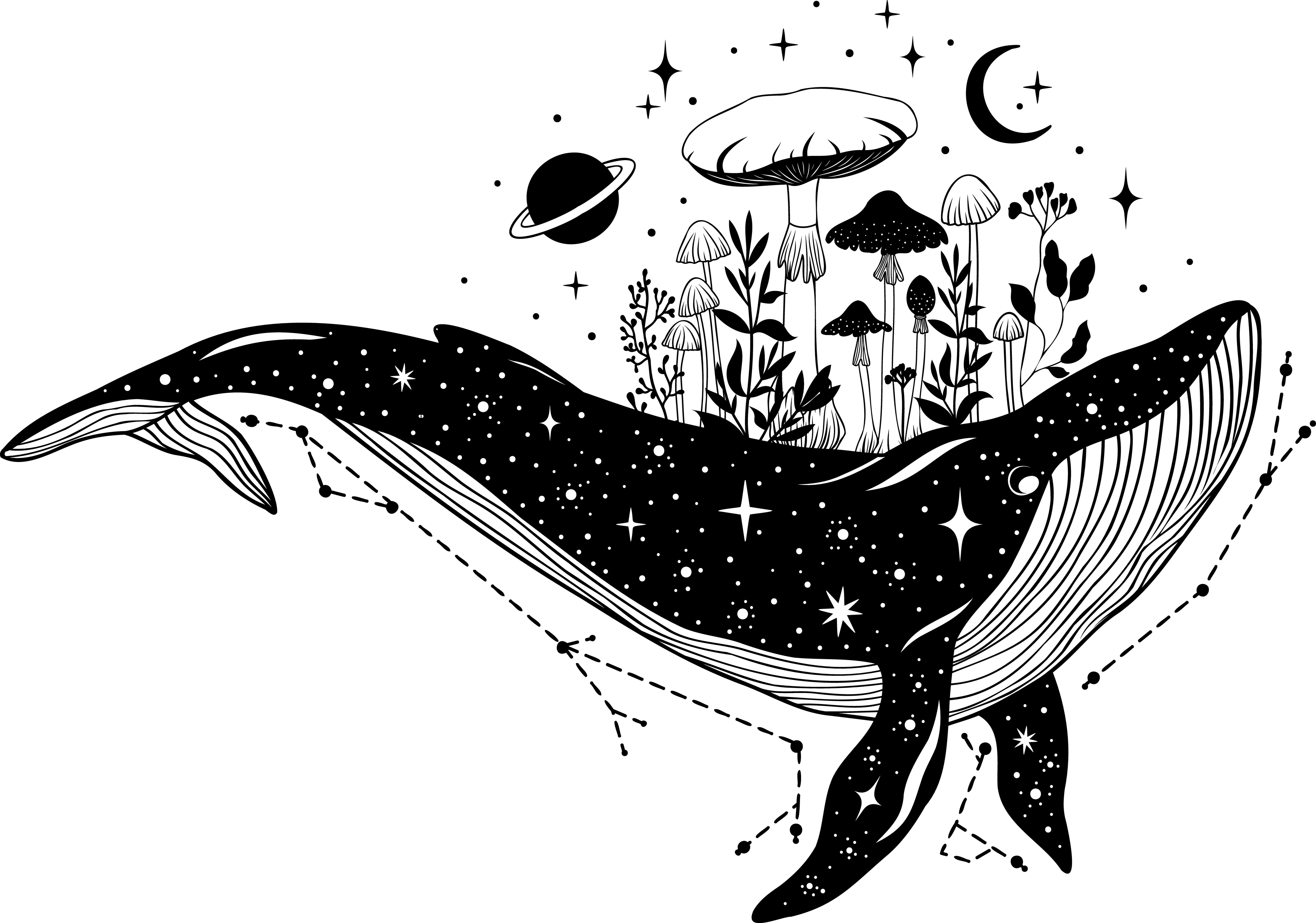 Star Whale